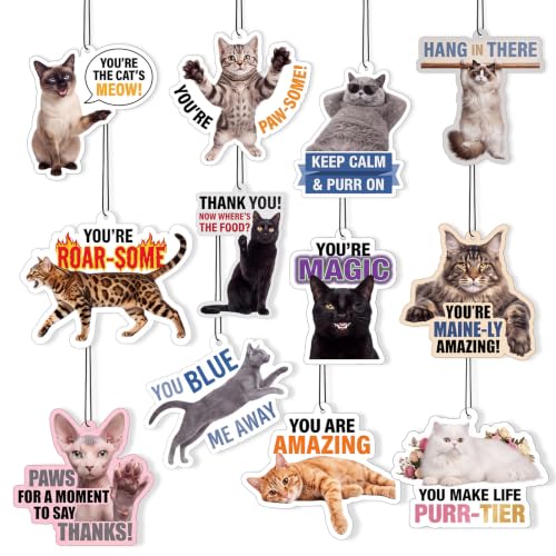 Image of Siifert 24 Pcs Vet Tech Appreciation Week Gift Bulk Cat Air Freshener Car