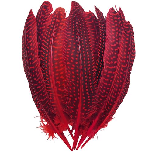 Guinea Fowl Wing Feathers Bulk 12pcs Natural Feathers Long 6-9 inch Feathers for Crafting Clothing Hat DIY Decoration Craft Feathers (Red)