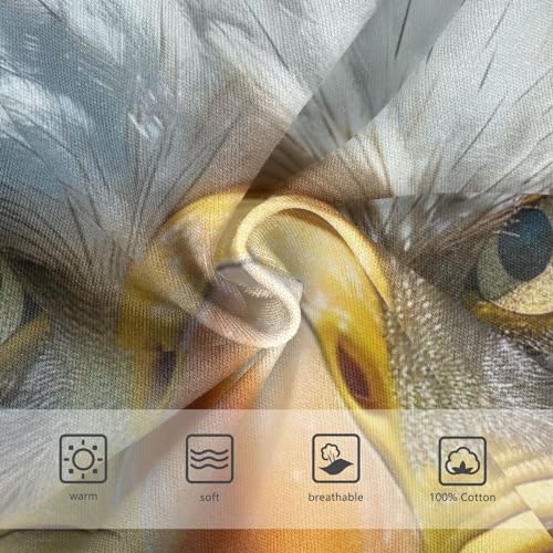 American Flag Bald Eagle 4th Of July Independence Day Toddler Boy's Underwear 2T 202b54603