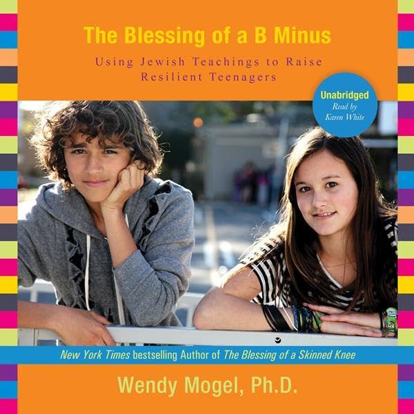 Cover art for The Blessing of a B Minus