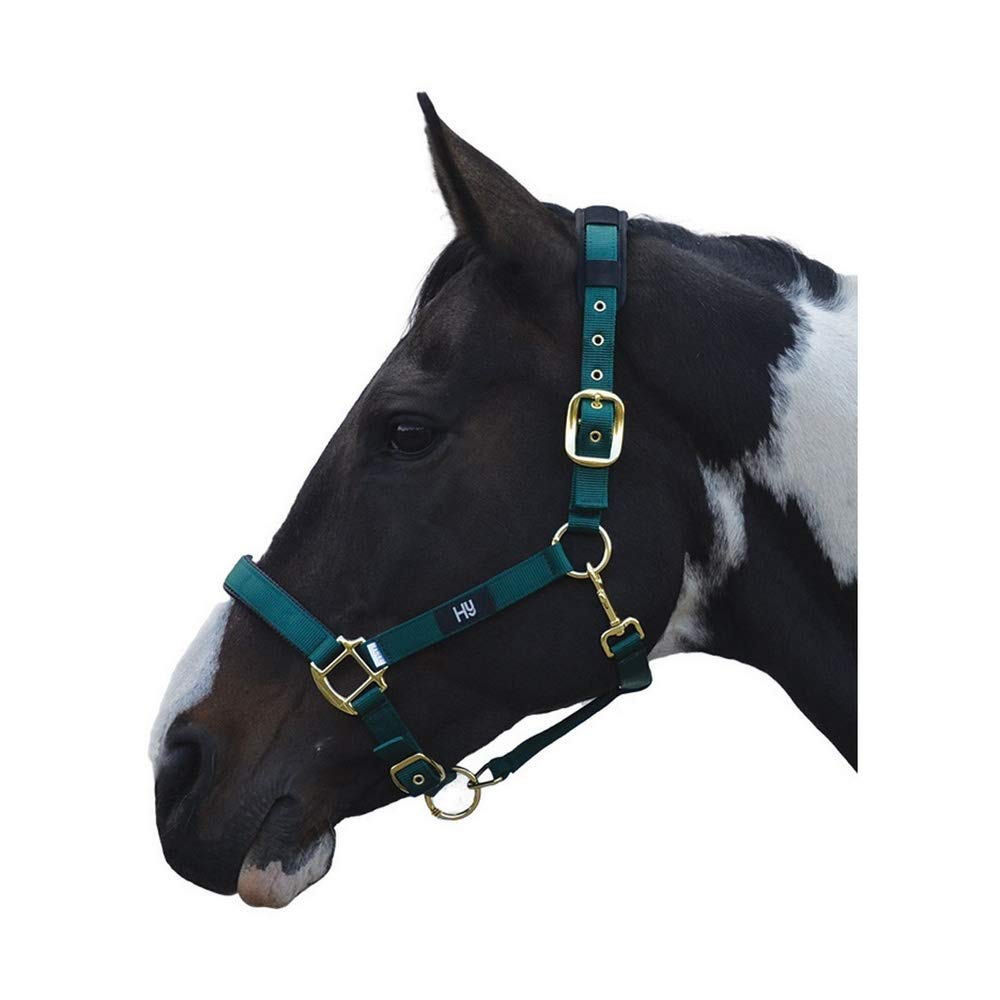 Hy Deluxe Padded Head Collar: Green: pony