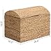 eHemco Heavy-duty Water Hyacinth Wicker Storage Trunk with Metal Frame and Arch Lid, 24.4 by 16.5 by 18.5 Inches, Natural