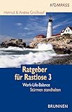 Ratgeber für Rastlose 3: Work-Life-Balance: Stürmen standhalten (kompass) - Helmut A Großkopf 
