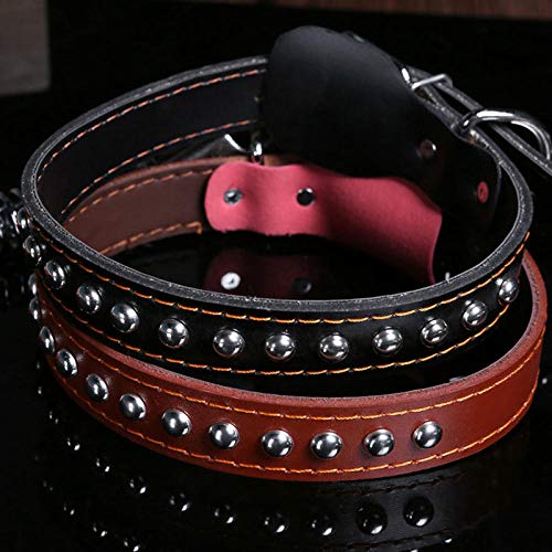 Collier pour chien en peau de vache avec laisses pour chiens de grande taille, accessoire robuste