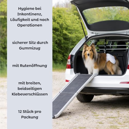 TRIXIE Hundewindeln für Hündinnen Gr. S–M, 12 St., 28–40 cm Taillenumfang