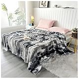 Ergocar Coperta In Pelliccia Artificiale, Coperta Invernale, Caldo Peluche Spesso a Doppia Faccia, Grande Coperta, Peluche Confortevole e Traspirante, Adatta Per Divani, Letti, Viaggi