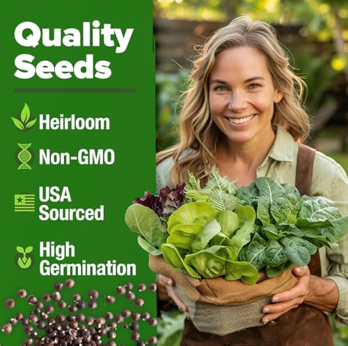 Image of HOME GROWN 20 Variety Lettuce Seeds 21,500+ Bulk Pack Heirloom Non-GMO, High Germination, Romaine,Butterhead, Spinach, Kale, Iceberg, Continuous Harvest,Indoor Outdoor Hydroponic Garden