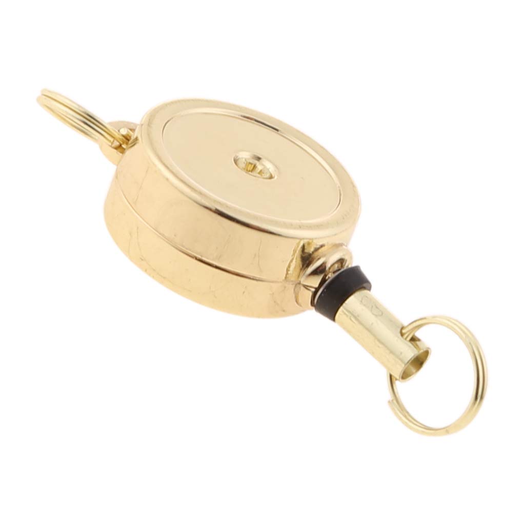 Fanswan Women's Light Gold Keychain 5 Colors Creative Retractable Badge Holder Reel Keychain Alloy Key Chain Bag Keyring For Men,,