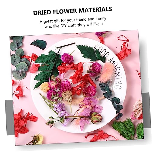 Flores secas prensadas reales para manualidades miniatura 2