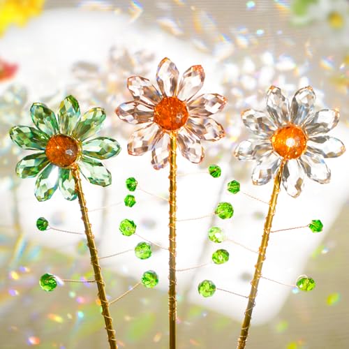 Attrape Soleil Cristal Rompt la Monotonie des Plantes Vertes en Pot - 2