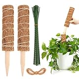 Juego de postes de musgo: viene con 2 postes de musgo ecológicos de 30 cm/11,8'' y 20 lazos verdes ajustables para plantas de 9''/23 cm y cuerda de yute natural de 17 pies/5 m, lo que garantiza que ate bien las hojas y las ramas a los postes de musgo.