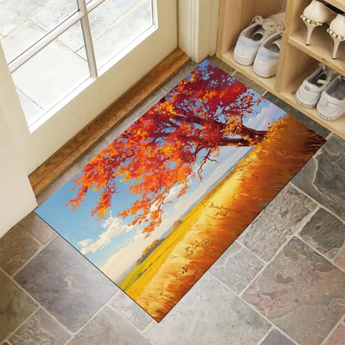 Tapis de sol antidérapant avec microfibres ultra absorbantes - 2