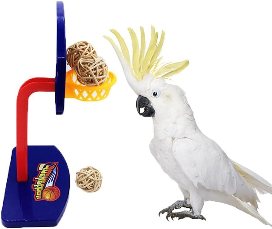 Hypeety Bird Intellective Mini Basketball Rack Training Toy for Budgies Parakeet Parrot Cockatiels Conures Small and Medium Birds