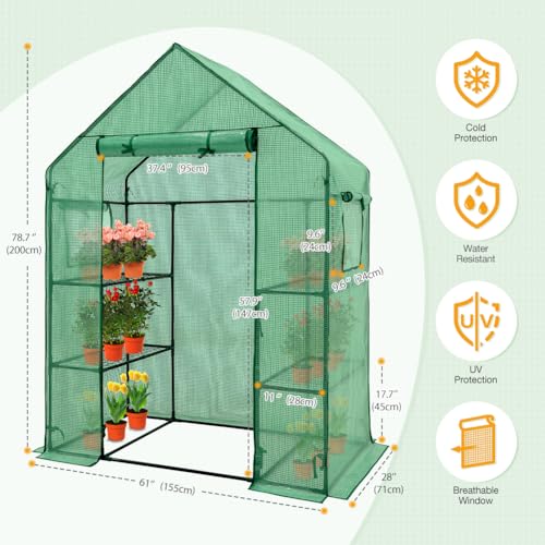 Image of EAGLE PEAK Walk in 3-Tier Greenhouse with Wire Shelves, Portable Indoor and Outdoor Green House with Roll-Up Zippered Door & 2 Roll Up Side Windows, 4 Shelves, 61 inchx28 inchx79 inch, Clear /Green PE Cover