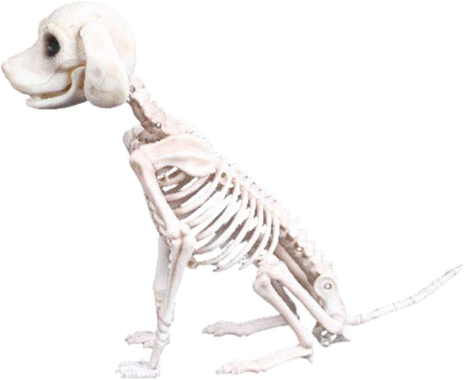 Halloween Skeleton Dog/Cat Prop Animal Bones Party Shop Decoration, Dog/Cat Skeleton Skull Halloween Horror Decoration Props (Dog Skeleton)