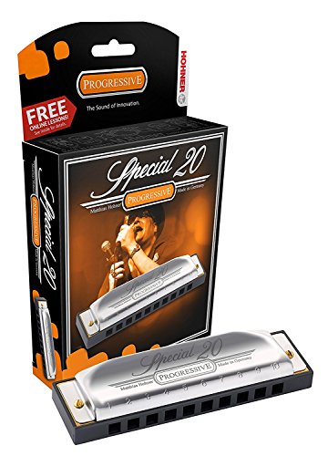 Hohner 560 Special 20 Harmonica - Key of D Bundle with Carrying Case and Austin Bazaar Polishing Cloth