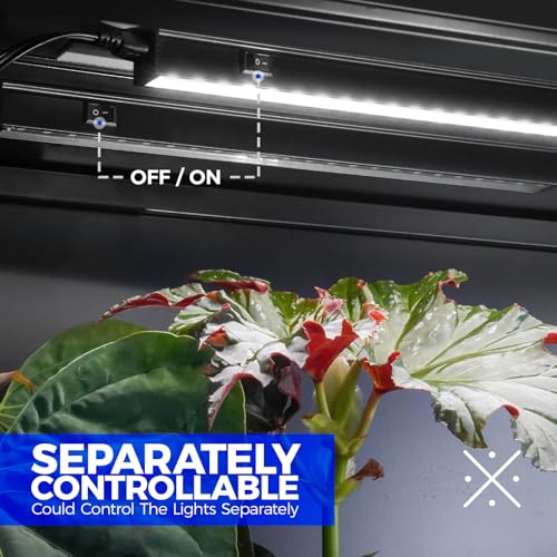 Image of Barrina T5 Grow Lights for Indoor Plants, 2FT 20W (2 X 10W) Plant Grow Lights Indoor with Magnetic Bar, Linkable Plant Growing Lamps with Black Cover, Plug and Play, 5000K, 2 Packs