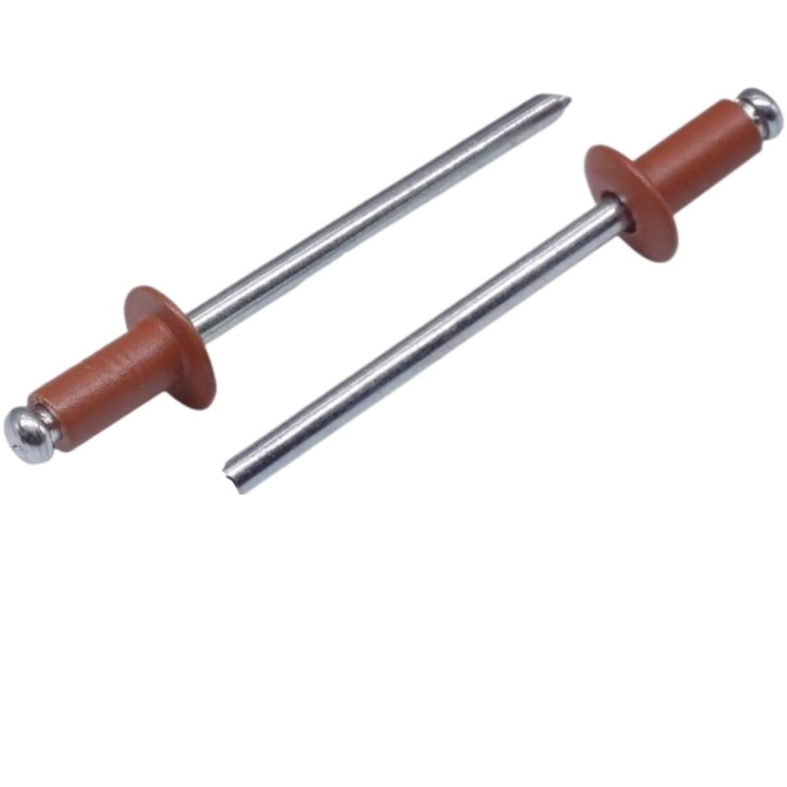 Mkyyioed 50Pcs Rivets Brown Painted Blind Rivets Steel Colored End Rivet Fastener