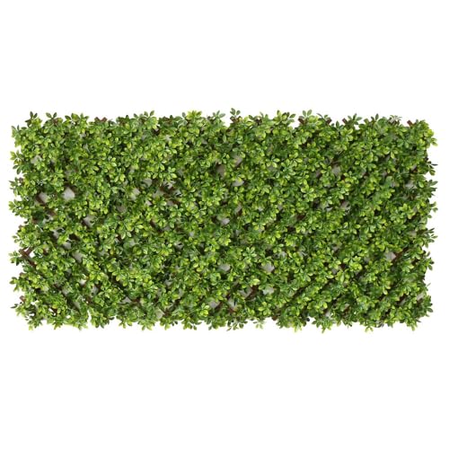 LOLAhome Celosía Extensible con seto Artificial Premium Boj de 1,...