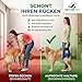 Nature Pet © - Tragehilfe Hund hinten - Verstellbarer Hunde Tragegurt als Treppenhilfe - Ideal für ältere, kranke oder operierte Vierbeiner - Praktische Unterstützung für Mobilität (L, Schwarz)