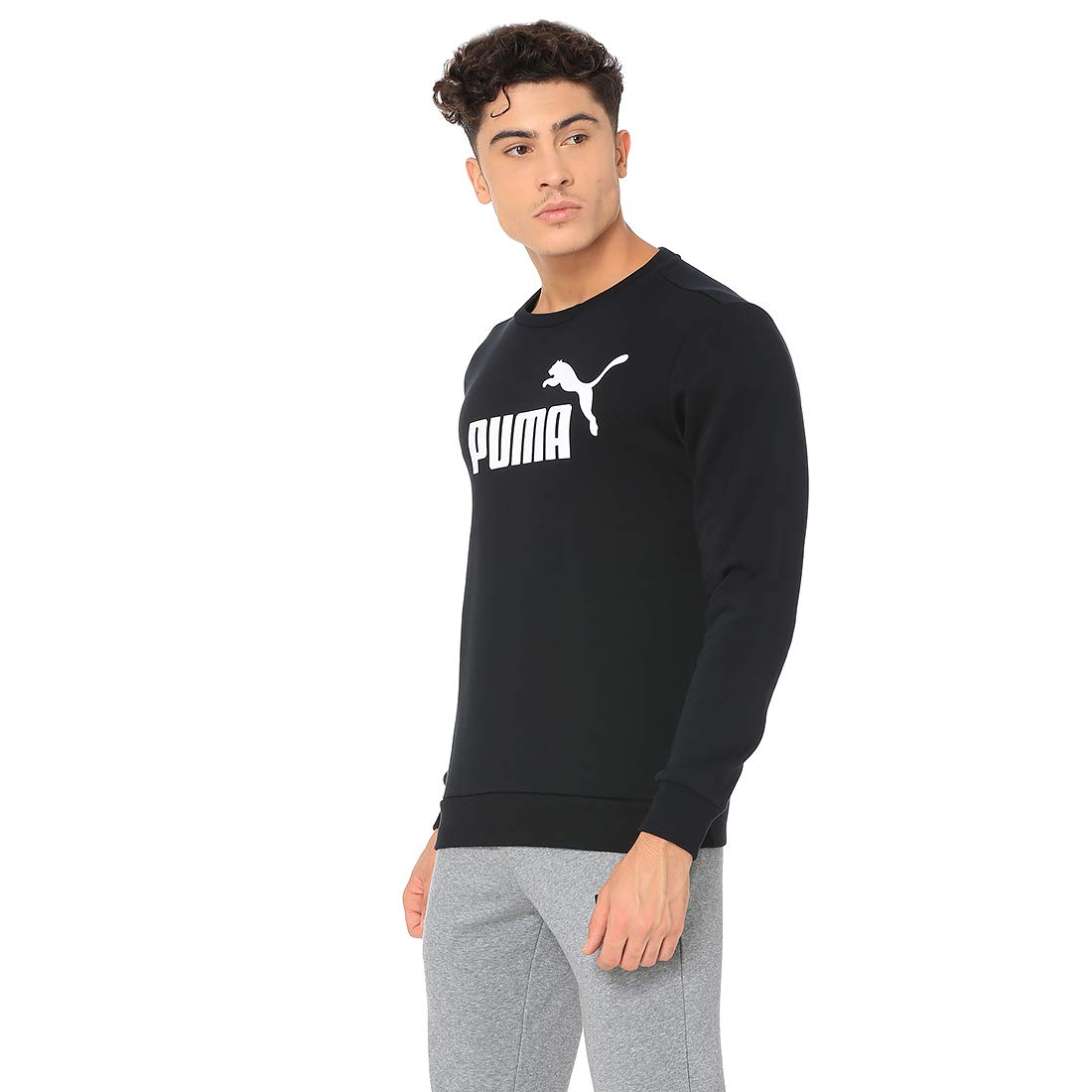 Puma ESS Logo Crew Sweat FL Big Logo, Sweatshirt Homme