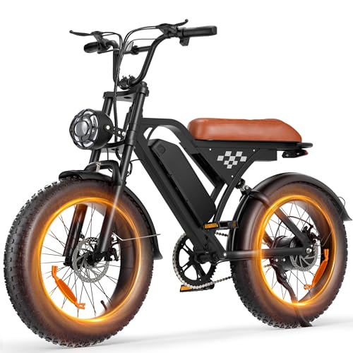 Flydone Electric Bike for Adults,16"/20" Fat Tire 1500W 55+ Miles