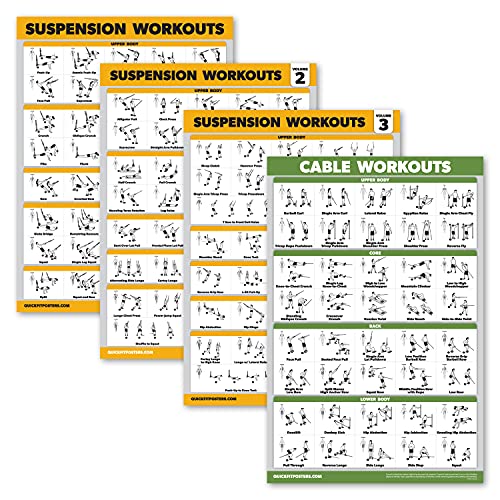 Palace Learning 4 Pack - Suspension Workout Posters Volume 1, 2 & 3 + Cable Workout Exercise Chart - Set of 4 Posters (Laminated, 18" x 24")