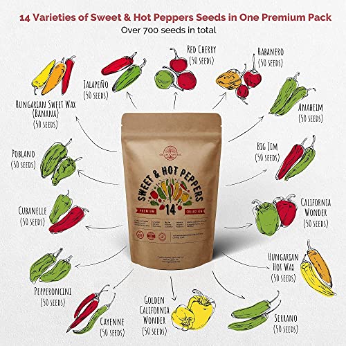 14 Sweet & Hot Peppers and 12 Easy to Grow Herb Seeds Variety Packs Bundle Non-GMO Heirloom Seeds for Planting Indoor and Outdoor Over 4200 Pepeprs & Herbs Seeds in One Value Bundle