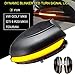 1 Pair Left +Right Mirror Indicator Dynamic LED Turn Signal Lights Mirror Indicator Marker for for VW Golf MK6 GTI 6 R20 MKVI Touran (for VW Golf MK6 GTI 6 R20 MKVI Touran)