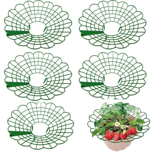 園芸支柱 イチゴ サポート 莓サポート いちご植え支柱 チゴ支え いちご棚 ストロベリーサポート 支持構造 傾き/揺れ防止 設置簡単 果物 野菜 花 鉢植え イチゴ栽培 植物サポートホルダー 農業用 家庭用 屋外 庭用 園芸用 (5Pcs)