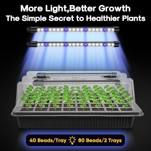 Image of BlumWay Seed Starter Tray with Grow Light,2 Pack 80 Cells Seedling Tray Kit with Humidity Dome /Indoor Plant Starter Kit, Adjustable Brightness Plant Germination Trays-Black