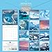 The Gifted Stationery, Antarctica 2025 Wall Calendar