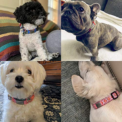 Personalized and Custom Dog Tag for Pets - No Noise - Engraved Name Tag - Slide On ID Tags and Collar Tags for Small, Medium, Large Dogs and Cats - Silent Customized - Image 6