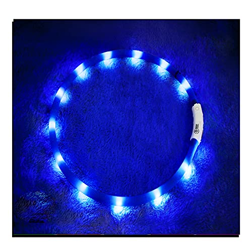 Led dog collar,usb rechargeable glowing dog collars, light up col…