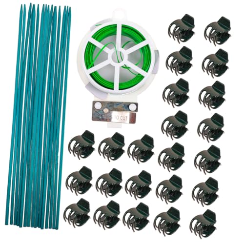 KALLORY |ANbv |_ Nbv  ƍ؉Ή ApxŒNv yʏvőό󐫂