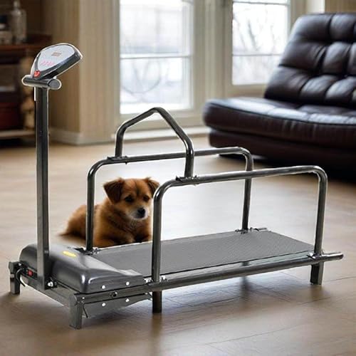 QianCruxtacy Tapis Roulant pour Chien avec Écran LCD - Appareil d'Entraînement pour Animaux, Plage de Vitesse 1-6 km/h, Capacité de Charge 80 kg/176 lbs, pour la Forme et la Santé