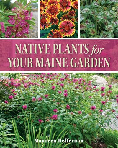 Native Plants for Your Maine Garden