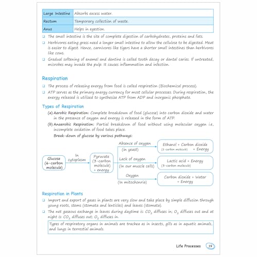 Image of PW CBSE Chapterwise Class 10 Topper Handwritten Notes For 2026 Exams | Covering Science, Mathematics, Social Science and English [Paperback] PW