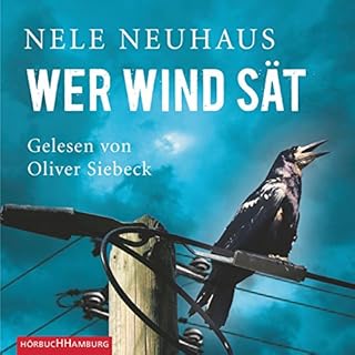 Wer Wind s&auml;t Titelbild