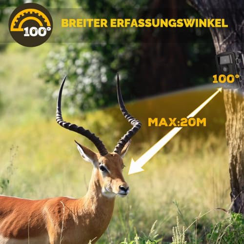 COOLIFE Jagdkamera, 28 MP, 1520P, HD, Auslösegeschwindigkeit 0,2 s und 27 Infrarot-LEDs, 940 nm...