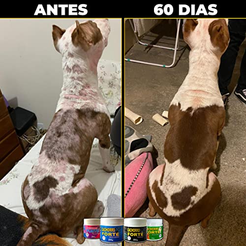 Suplemento Cachorro Forte Premium - Suplemento Alimentar para Cães