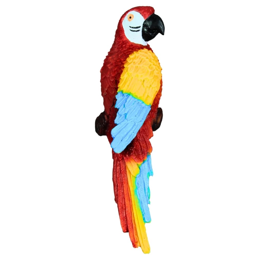 Wonderland Parrot Sitting on Branch-picture-10