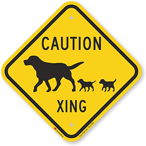 SmartSign - K-9024-EG-12x12 