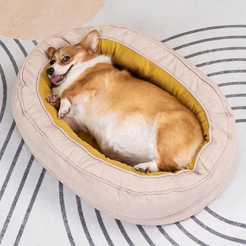 [JUI3N] 100*70*20cm  xbh ӂӂ ې ^  ybgxbh ^ pxbh ^ ~ߕt g ˂xbh ʔNgp NbV Lxbh }bg CG[ ybgpi   ȒP| N