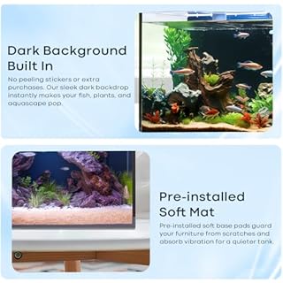 6 Gallon Glass Fish Tank 5 Gallon, Small Aquarium Fish Bowl Cube for Betta Goldfish Snails Shrimp Aquatic Planting, Easy to Maintain Ultra Clear Rimless Design Low Iron