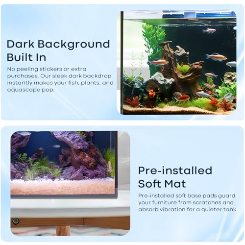 6 Gallon Glass Fish Tank 5 Gallon, Small Aquarium Fish Bowl Cube for Betta Goldfish Snails Shrimp Aquatic Planting, Easy to Maintain Ultra Clear Rimless Design Low Iron - Image 5