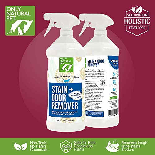 Only Natural Pet Dog Stain & Odor Remover Spray - 32 FL Oz Spray Bottle- Eliminates Odors, Organic E