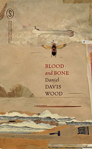 Blood and Bone view 2