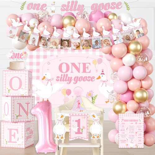 One Silly Goose Birthday Decor Girl, Goose Balloon Arch NB to 12 Months Photo High Chair Banner Cake Topper Goose Party Backdrop and Crown Goose 1st Birthday Decorations Girl