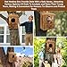 Owl Houses for Outdoors， 16.1x11.8x9.5 inch Large Carbonized Barred Owl Nesting Box, Waterproof & Ventilated Design, Ideal for Owls, Wildlife, Garden Decoration